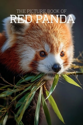 The Picture Book of Red Panda: A Calming Large-Print Photo Book for Seniors with Dementia, Alzheimer's & Memory Loss by Javi Nizo