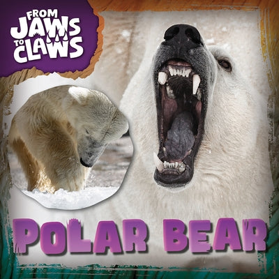Polar Bear by Nodes, Eliza