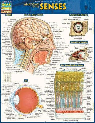 Anatomy of the Senses: Quickstudy Laminated Reference Guide by Barcharts Inc