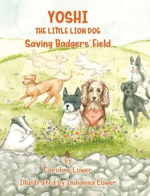 Yoshi: Saving Badgers' Field by Lower, Caroline