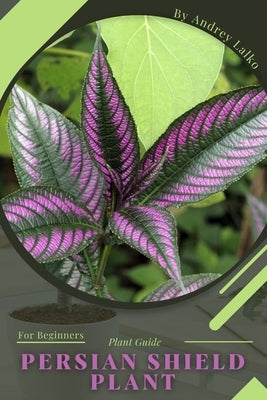 Persian Shield Plant: Plant Guide by Lalko, Andrey