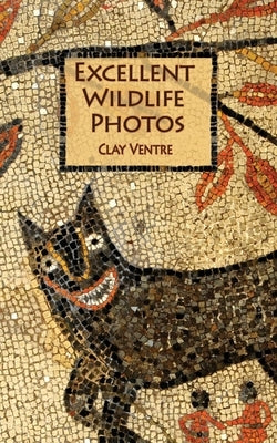 Excellent Wildlife Photos by Ventre, Clay