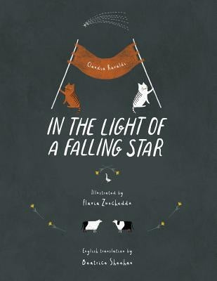 In the light of a falling star by Zuncheddu, Flavia