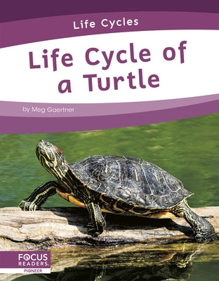 Life Cycle of a Turtle by Gaertner, Meg