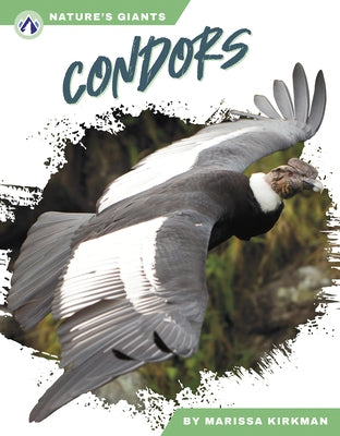 Condors by Kirkman, Marissa