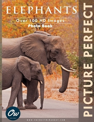 Elephants: Picture Perfect Photo Book by Arelt, A.