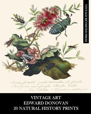 Vintage Art: Edward Donovan: 20 Natural History Prints: Entomology Ephemera for Home Decor, Collages and Scrapbooks by Press, Vintage Revisited