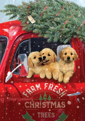 Festive Pups Small Boxed Holiday Cards (20 Cards, 21 Self-Sealing Envelopes) by 