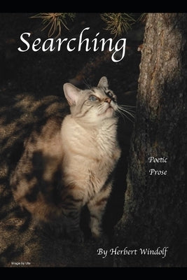 Searching by Windolf, Herbert