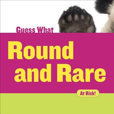Round and Rare: Giant Panda by Macheske, Felicia