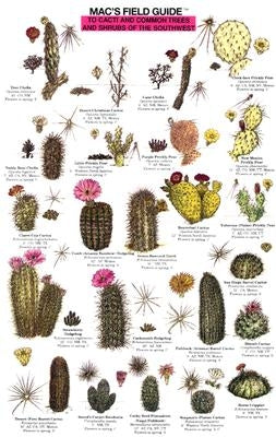 Mac's Field Guides: Southwest Cacti, Shrubs, Trees by Macgowan, Craig