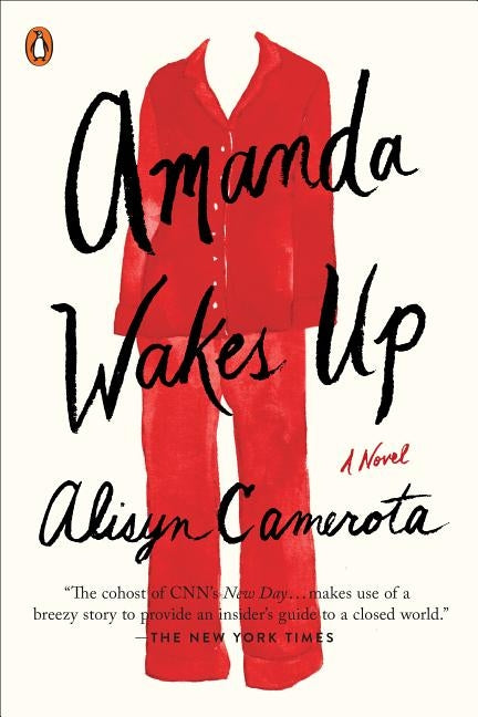 Amanda Wakes Up by Camerota, Alisyn