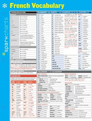 French Vocabulary Sparkcharts: Volume 23 by Sparknotes