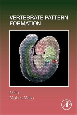 Vertebrate Pattern Formation: Volume 159 by Mallo, Moises