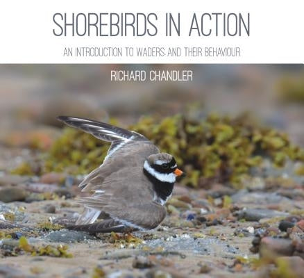 Shorebirds in Action by Chandler, Richard