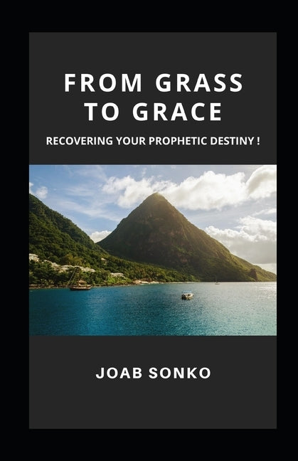 From Grass to Grace: Pursuing Your Prophetic Destiny! by Sonko, Phinehas Joab
