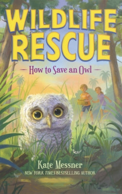 How to Save an Owl by Messner, Kate