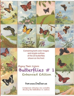 Butterflies #1 - Enhanced Coloring Book: With Outlines and Colors Guide by Weerasinghe, Gothami