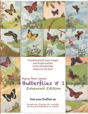 Butterflies #1 - Enhanced Coloring Book: With Outlines and Colors Guide by Weerasinghe, Gothami