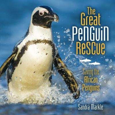 The Great Penguin Rescue: Saving the African Penguins by Markle, Sandra