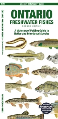 Ontario Fishes: A Folding Pocket Guide to All Known Native and Introduced Freshwater Species by Morris, Matthew