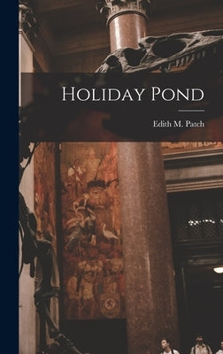 Holiday Pond by Patch, Edith M. (Edith Marion) 1876-