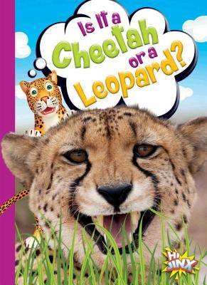 Is It a Cheetah or a Leopard? by Terp, Gail