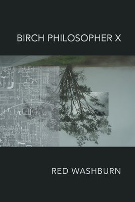 Birch Philosopher X by Washburn, Red