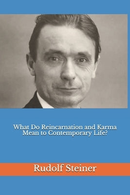 What Do Reincarnation and Karma Mean to Contemporary Life? by Amrine, Frederick