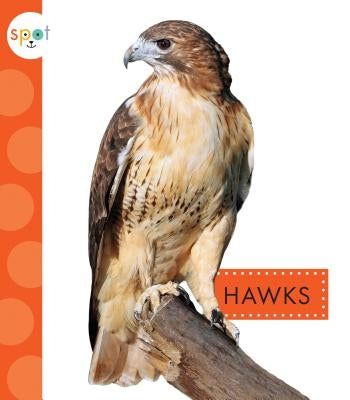 Hawks by Schuh, Mari C.