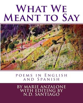 What We Meant to Say: poems in English and Spanish by Santiago, Nelton David