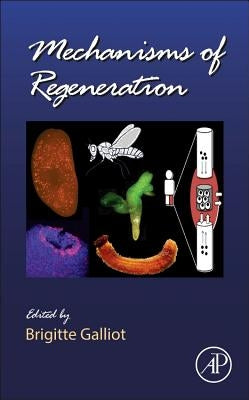 Mechanisms of Regeneration: Volume 108 by Galliot, Brigitte