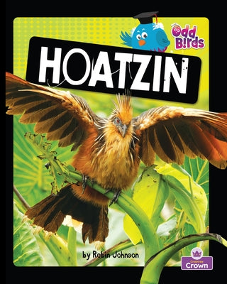 Hoatzin by Johnson, Robin