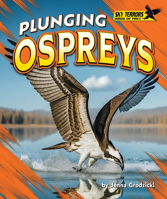 Plunging Ospreys by Grodzicki, Jenna