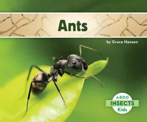 Ants by Hansen, Grace