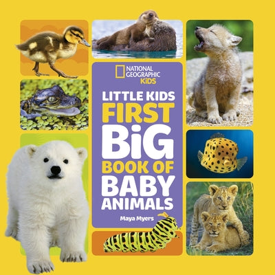Little Kids First Big Book of Baby Animals by Myers, Maya