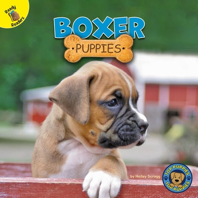 Boxer Puppies by Scragg, Hailey