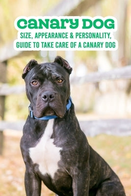 Canary Dog: Size, Appearance & Personality, Guide To Take Care of A Canary Dog: Canary Dog Breeds Book by Gloria, Antillon