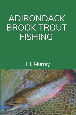 Adirondack Brook Trout Fishing by Murray, J. J.
