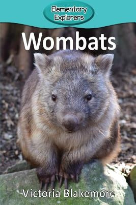 Wombats by Blakemore, Victoria