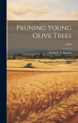 Pruning Young Olive Trees; B348 by Bioletti, Frederic T. (Frederic Theod