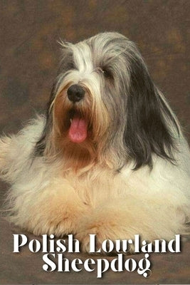 Polish Lowland Sheepdog: Dog breed overview and guide by Pustova, Nina