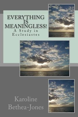 Everything Is Meaningless!: A Study in Ecclesiastes by Bethea-Jones, Karoline