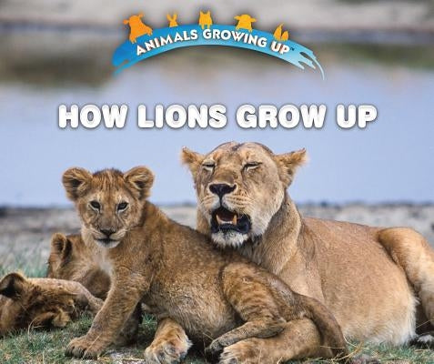 How Lions Grow Up by Idzikowski, Lisa