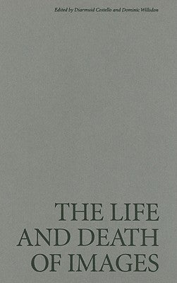 The Life and Death of Images: Ethics and Aesthetics by Costello, Diarmuid