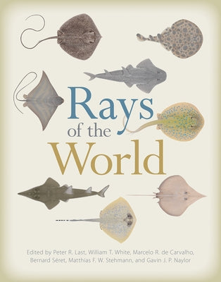 Rays of the World by Last, Peter