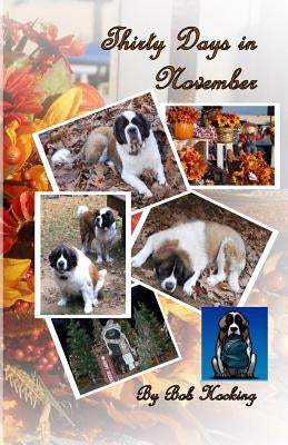 Thirty Days in November by Hocking, Bob