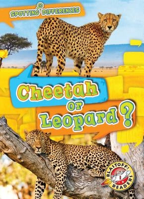 Cheetah or Leopard? by Chang, Kirsten