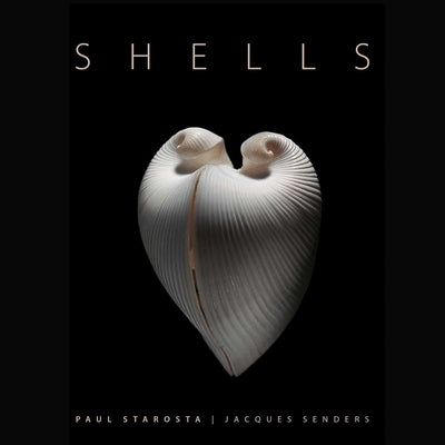 Shells by Senders, Jacques