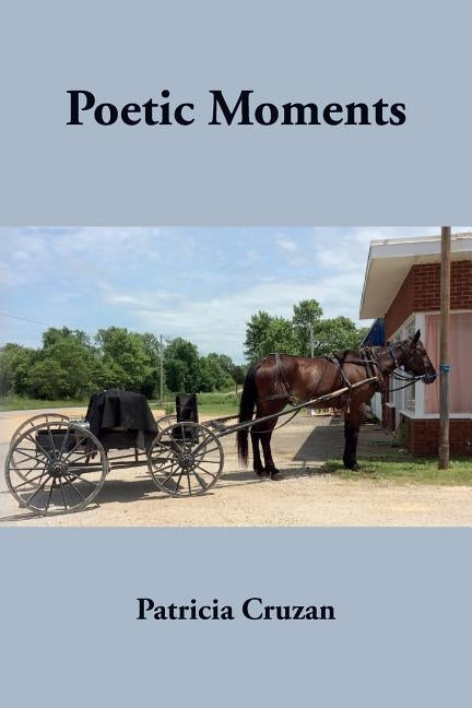 Poetic Moments by Cruzan, Patricia